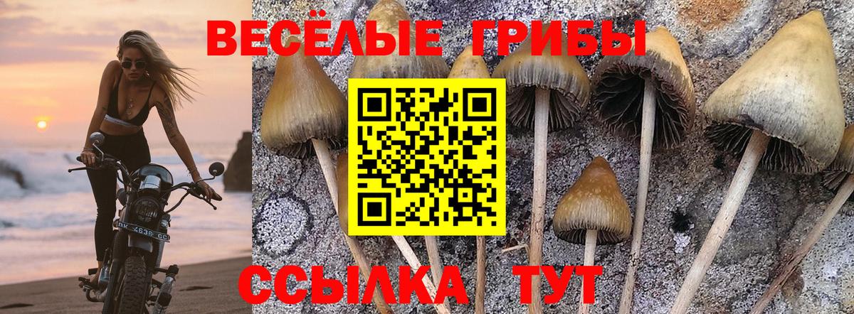 Реутов  Галлюциногенные грибы MAGIC MUSHROOMS  где купить наркоту  Вход с VPN 
